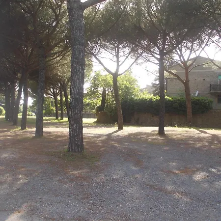 Rondinella * Montefiascone