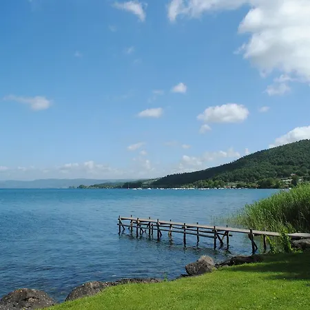 Rondinella